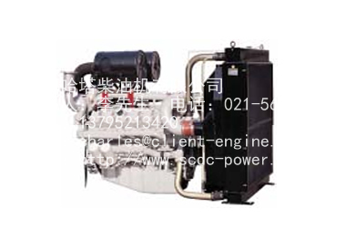 DOOSAN P222LE-S Generator engine
